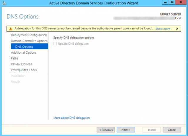 DNS Options